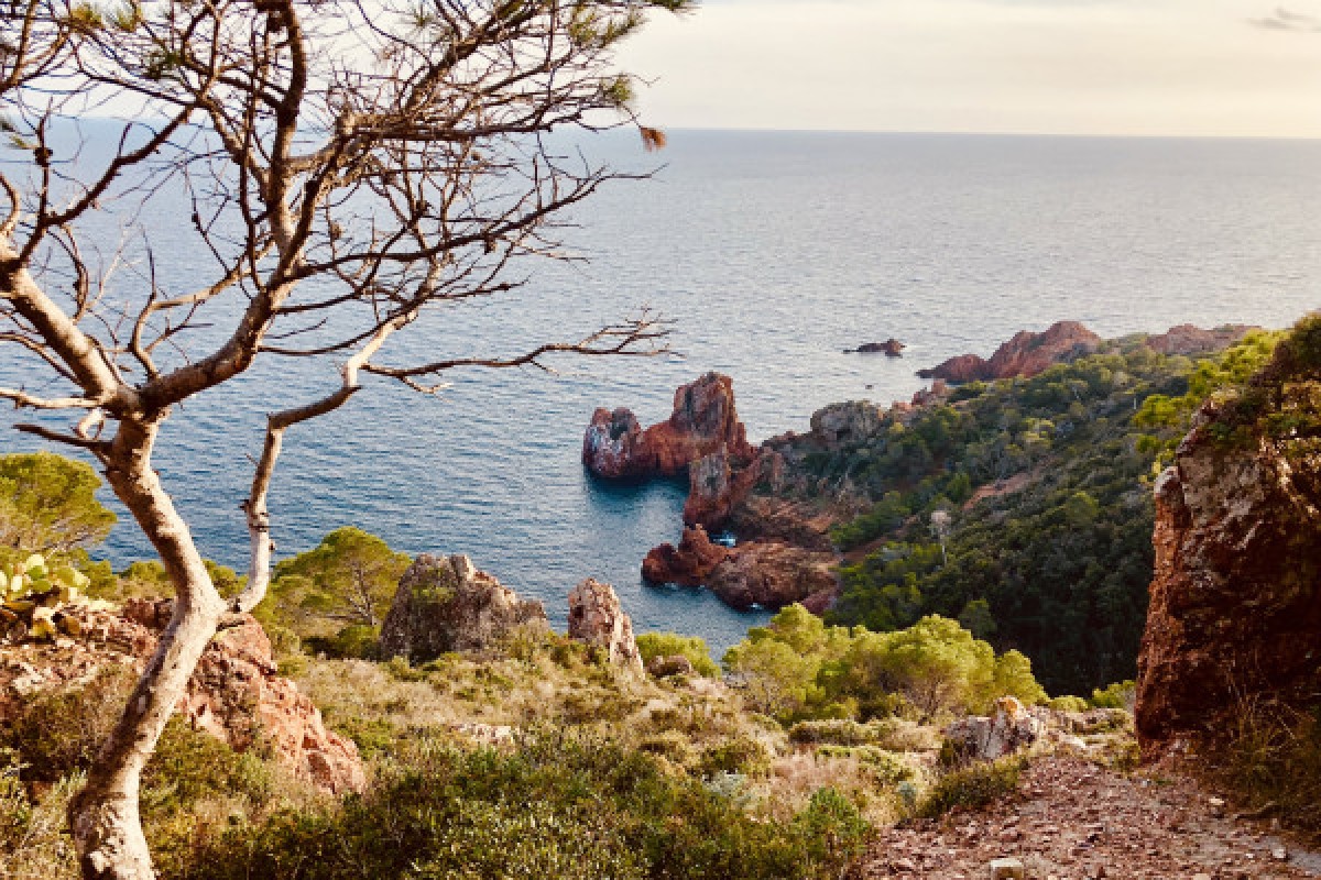 Esterel Evasion - excursions privées - Expérience Côte d'Azur