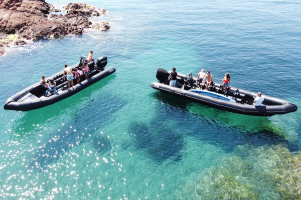 Excursion en mer - Estérel 2h30 - Expérience Côte d'Azur