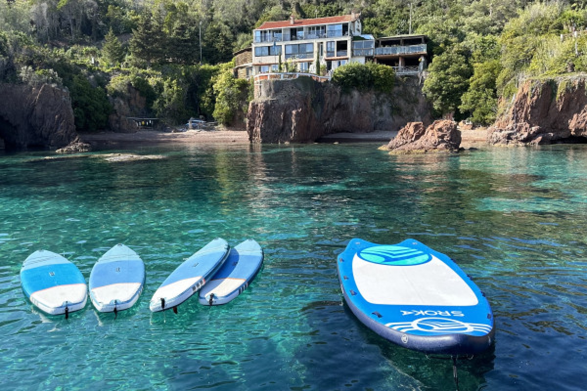 Sortie privatisée en catamaran + activités S.U.P. - Journée - Expérience Côte d'Azur