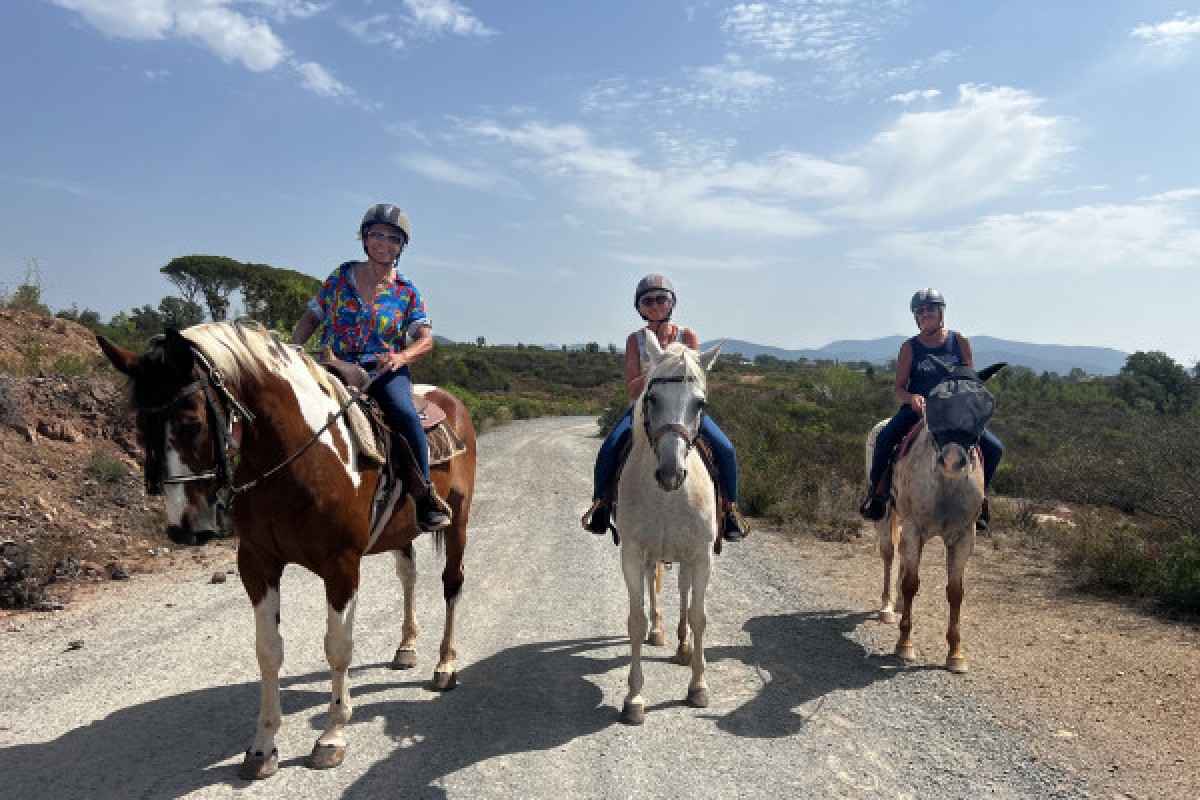 Hill trail - 1h 45 de balade à cheval dans le massif de l'Esterel - Expérience Côte d'Azur