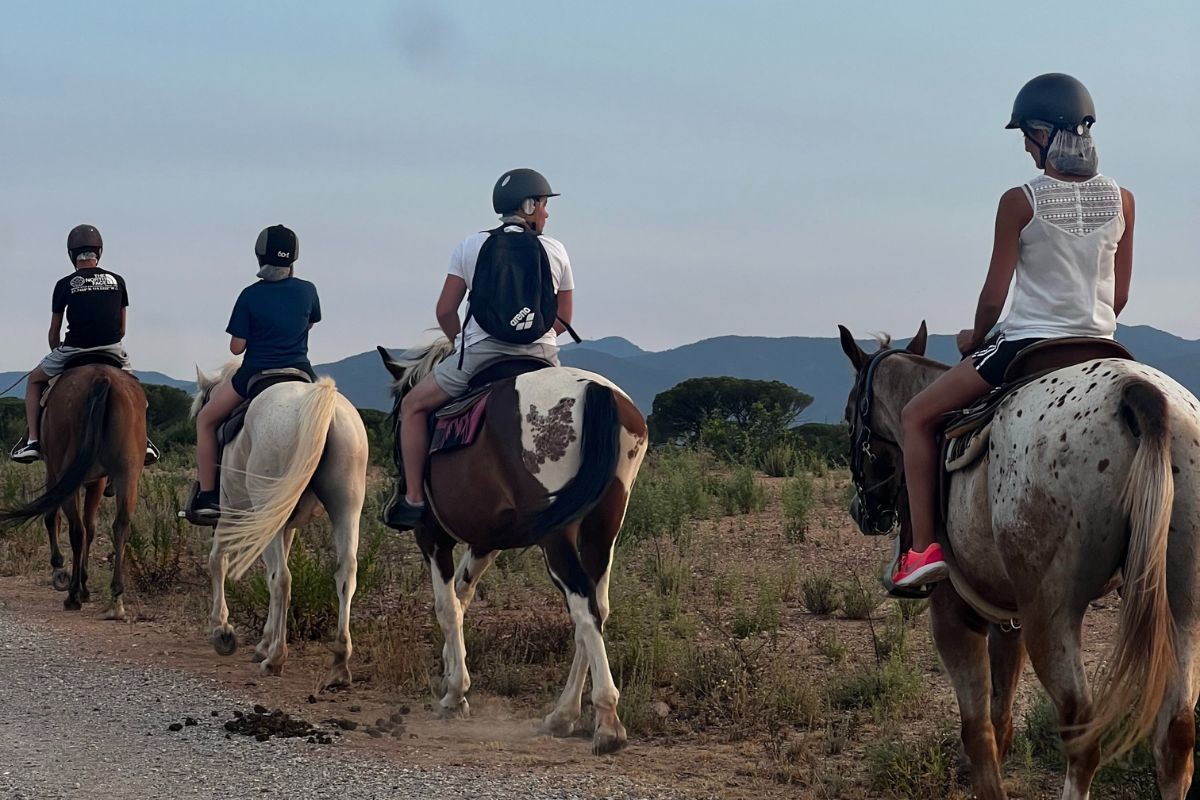 Hill trail - 1h 45 de balade à cheval dans le massif de l'Esterel - Expérience Côte d'Azur
