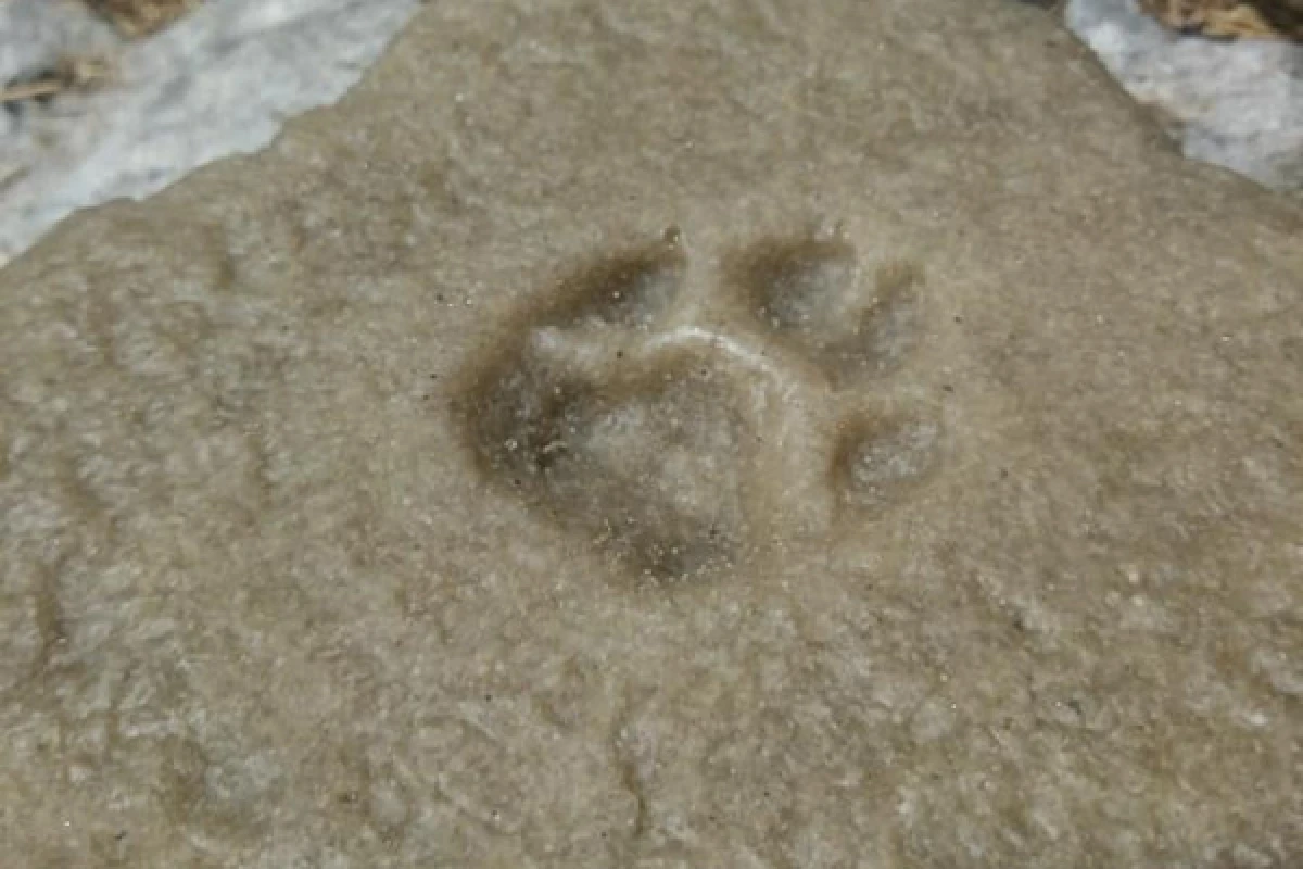  Jeu de piste des hauts de Baume Obscure - Expérience Côte d'Azur