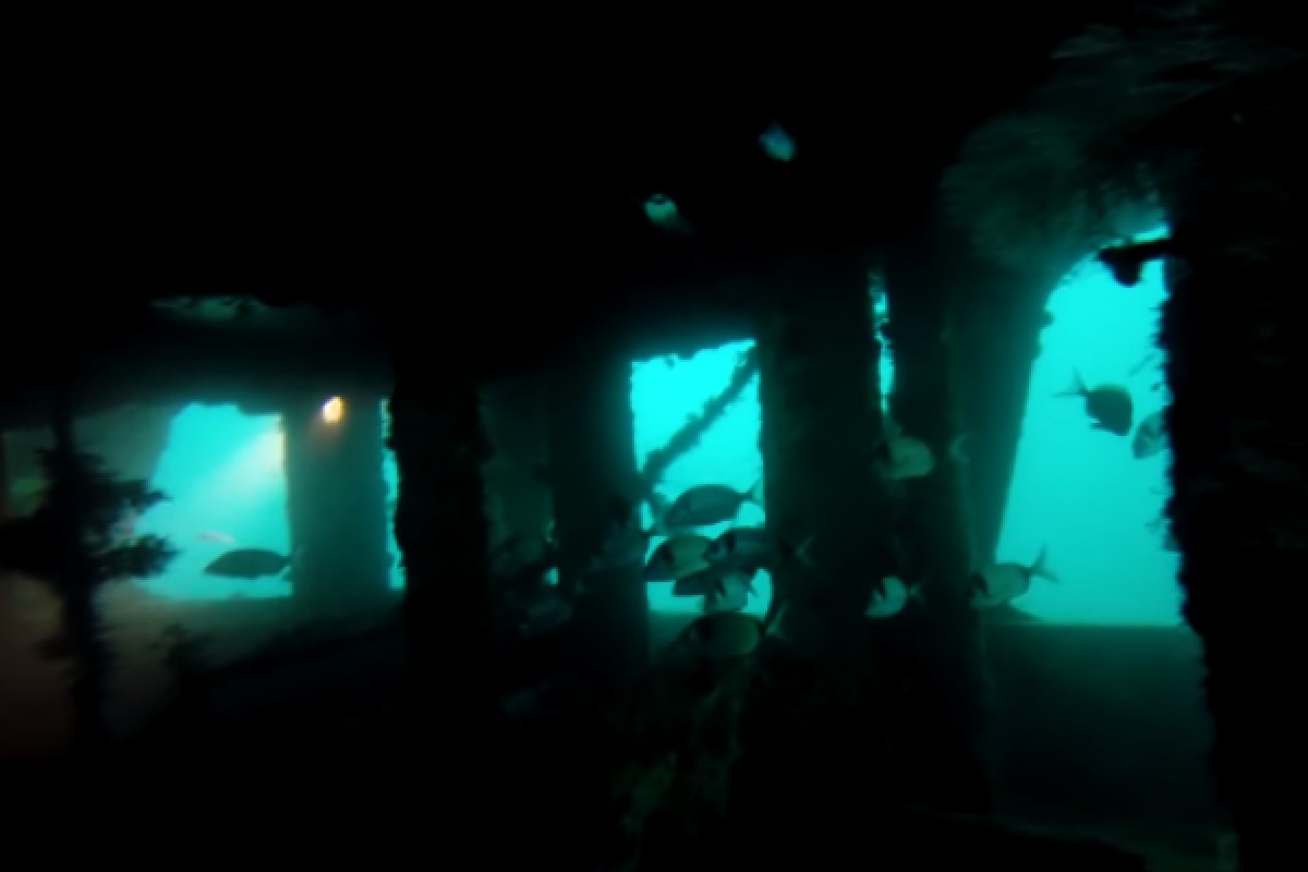 Journée 2 plongées Epave Roche St Tropez (plongeur expert) - Expérience Côte d'Azur