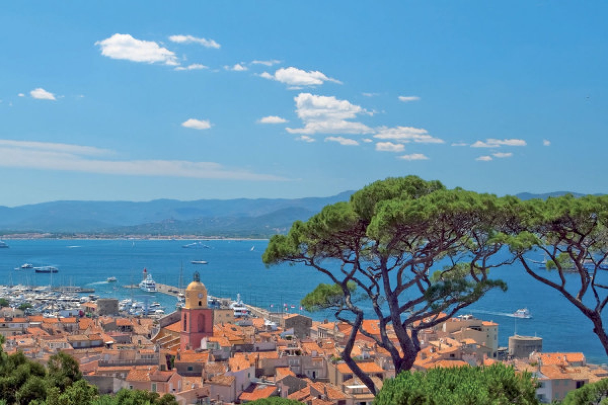 Journée 2 plongées Epave Roche St Tropez (plongeur expert) - Expérience Côte d'Azur