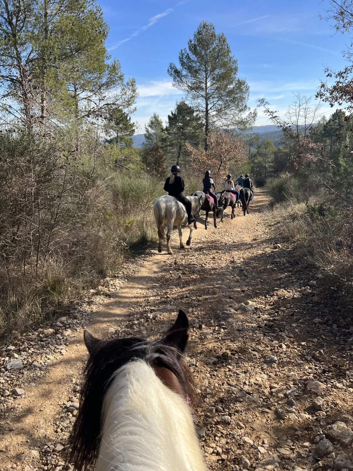 Journée détente à cheval ou poney au lac - Expérience Côte d'Azur
