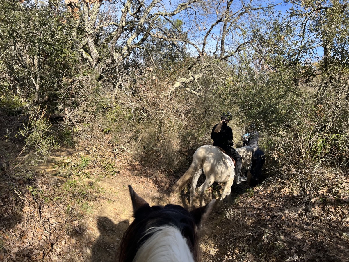 Journée détente à cheval ou poney au lac - Expérience Côte d'Azur