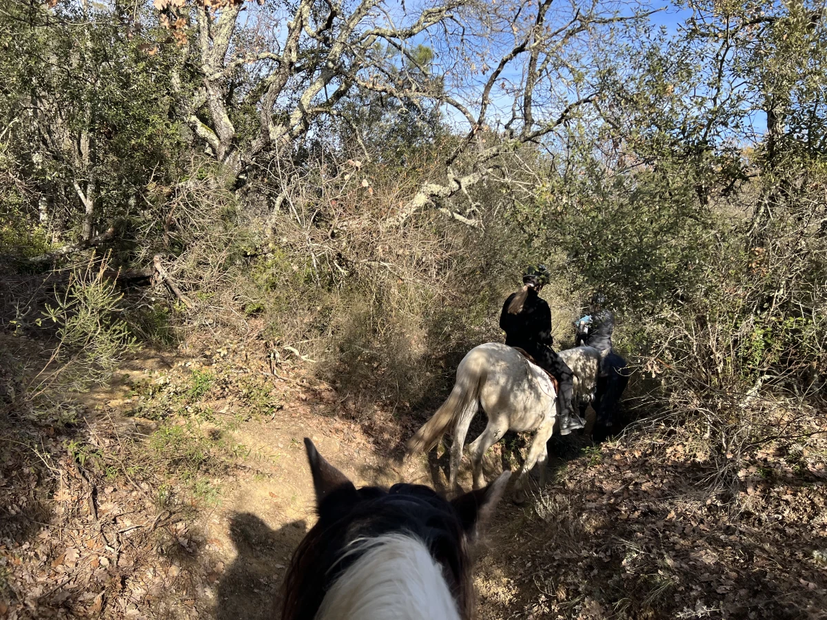Journée détente à cheval ou poney au lac - Expérience Côte d'Azur