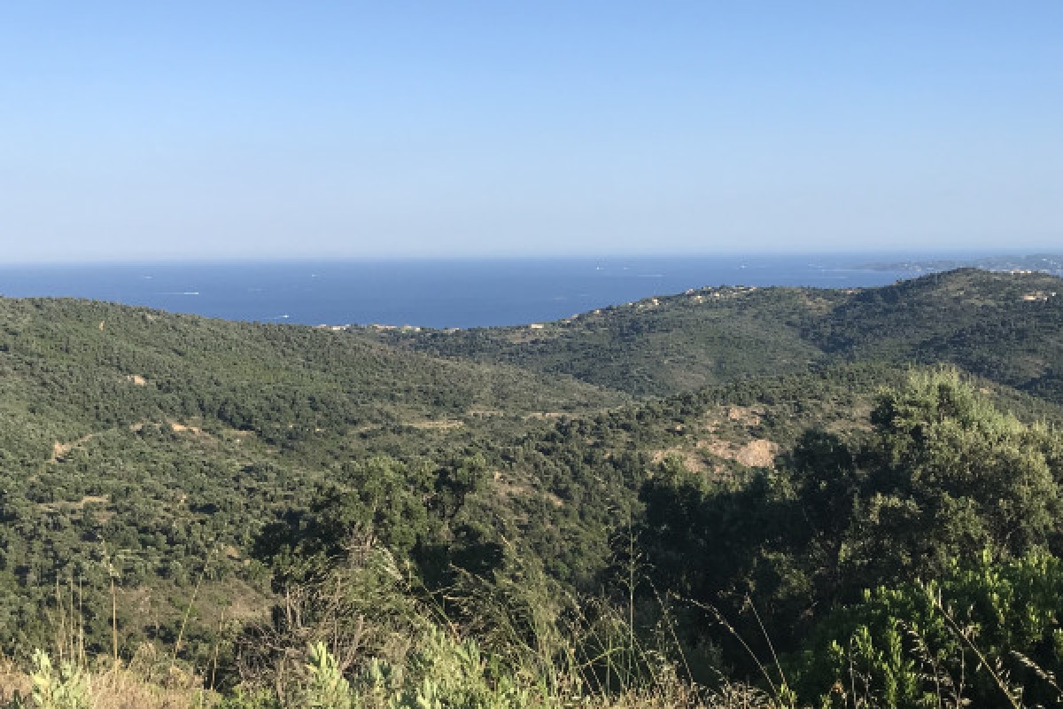 Journée encadrée en VTT électrique - Le sommet de l'Estérel - Expérience Côte d'Azur