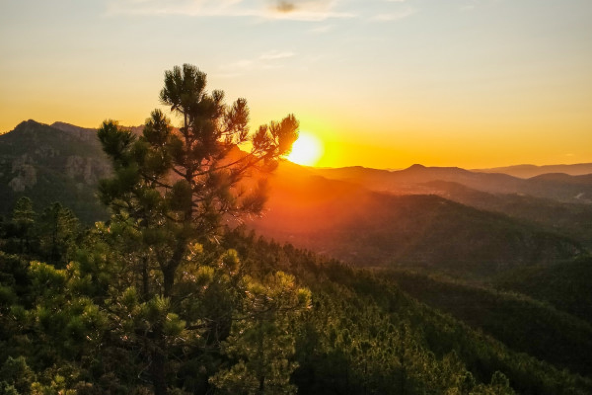 La Rando Apéro à Mandelieu - La Napoule - Expérience Côte d'Azur