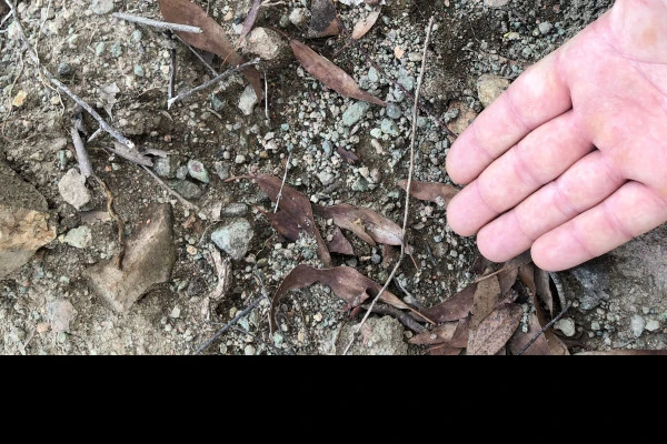 La marche nordique autrement - Expérience Côte d'Azur