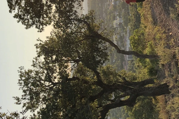 La marche nordique autrement - Expérience Côte d'Azur