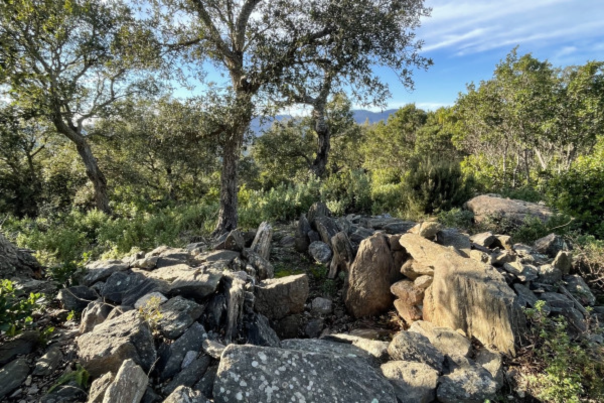 Le Balcon des Issambres - Expérience Côte d'Azur
