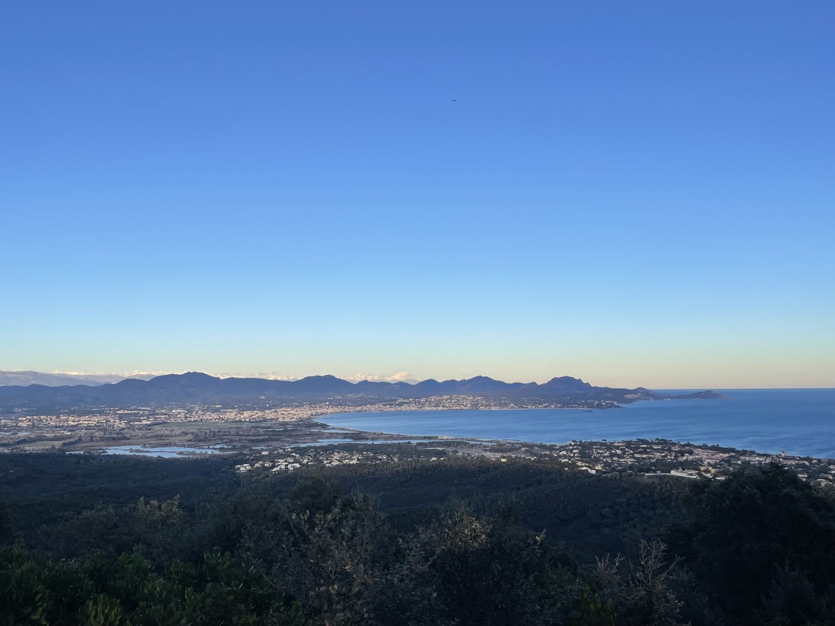 Le mimosa au coeur des Petites Maures - Expérience Côte d'Azur