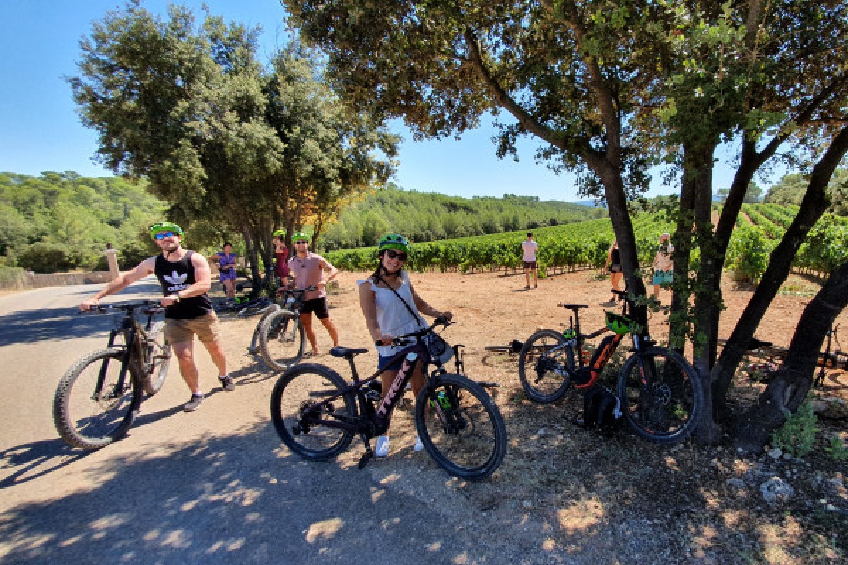 Le Vignoble à Vélo (assistance éléctrique) - Expérience Côte d'Azur