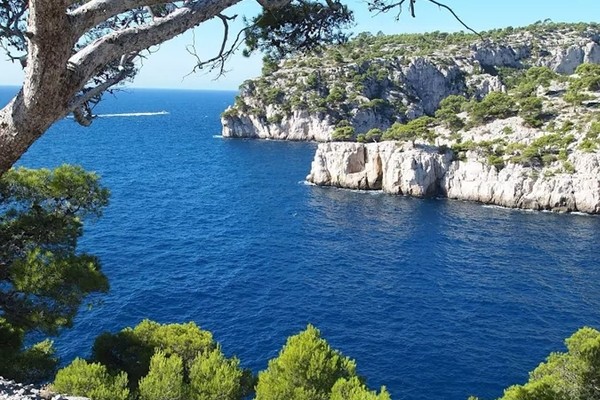 Les Calanques de Cassis - Excursion en autocar - Expérience Côte d'Azur