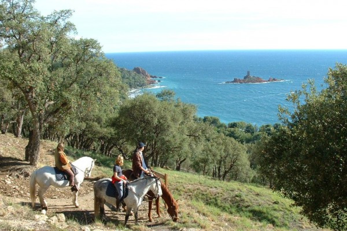 Les Ferrières : Balade équestre cavalier moyen - Expérience Côte d'Azur