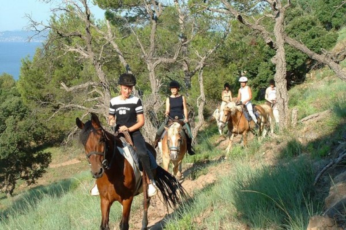 Les Ferrières : Balade équestre cavalier moyen - Expérience Côte d'Azur