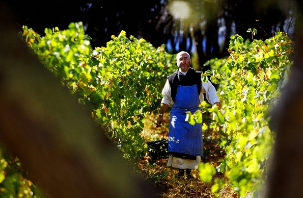 Balade en bateau : Excursion vers Les îles de Lérins - Expérience Côte d'Azur