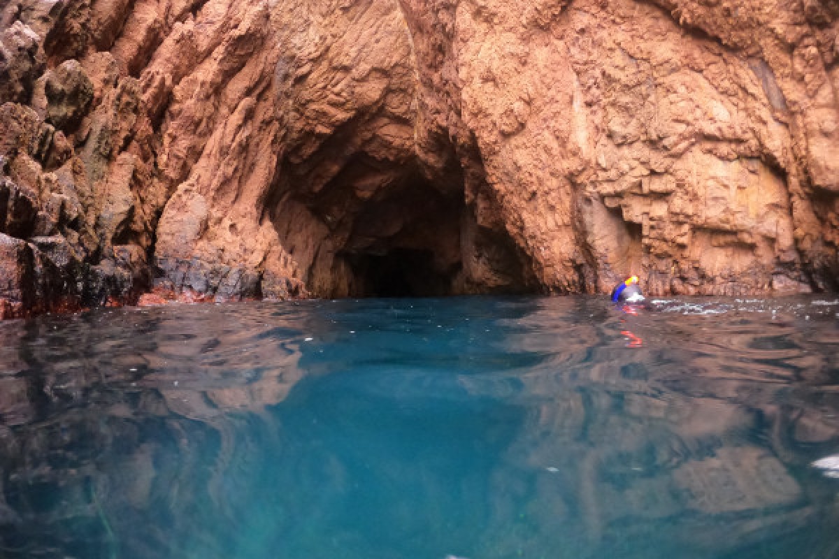 Les trésors aquatiques de l'Estérel - Expérience Côte d'Azur