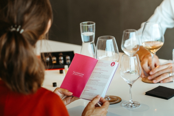 Les Vins de Provence en 3 couleurs - Expérience Côte d'Azur