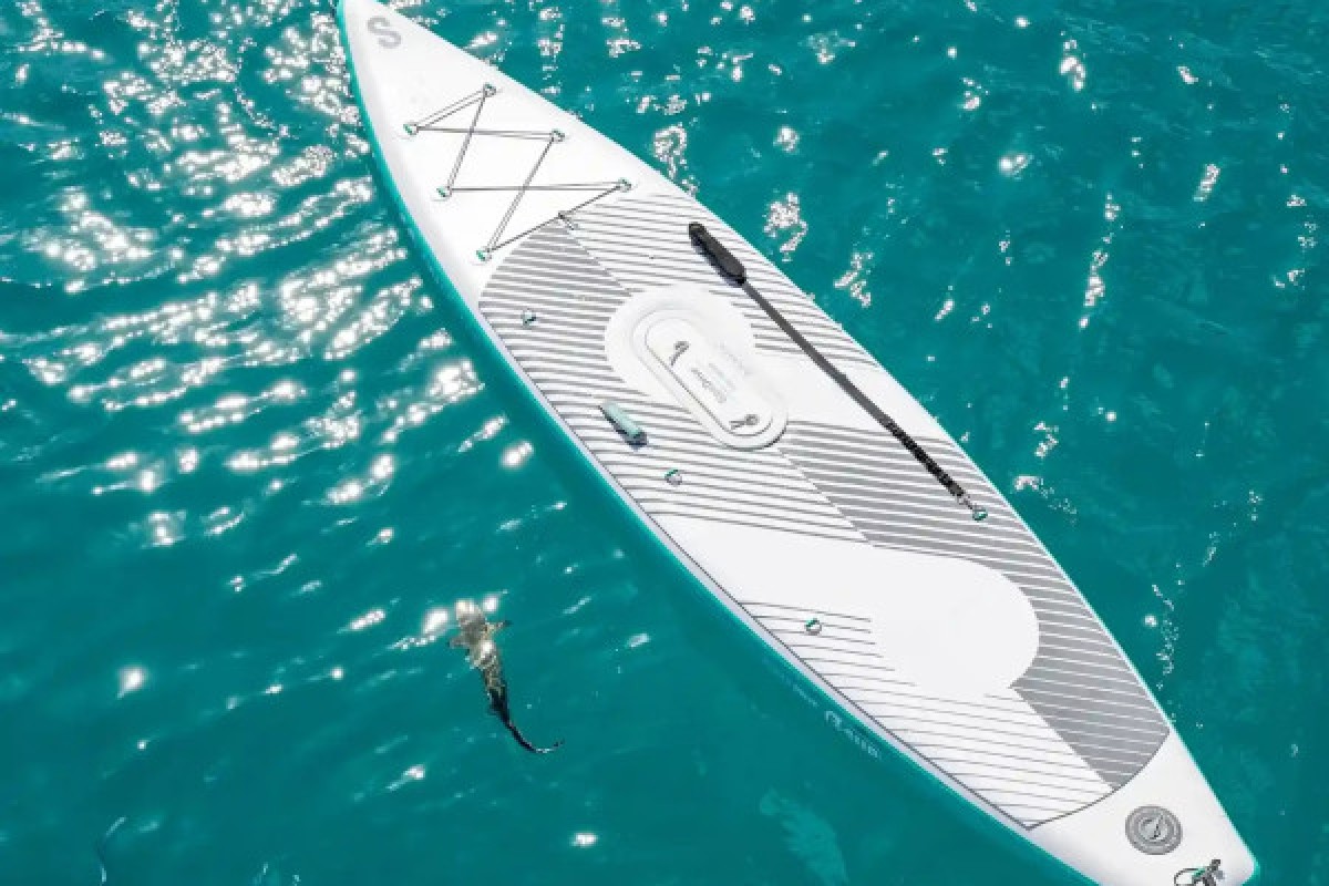 Location de e-paddles (Sipaboards) - Expérience Côte d'Azur