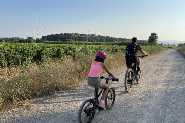 Location Vélo (VTTAE) + dégustation de vin - Expérience Côte d'Azur
