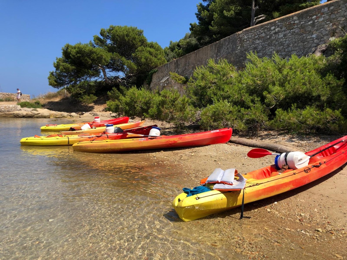 Multi-activités kayak sur l’île Sainte-Marguerite - Spécial Groupes - Expérience Côte d'Azur