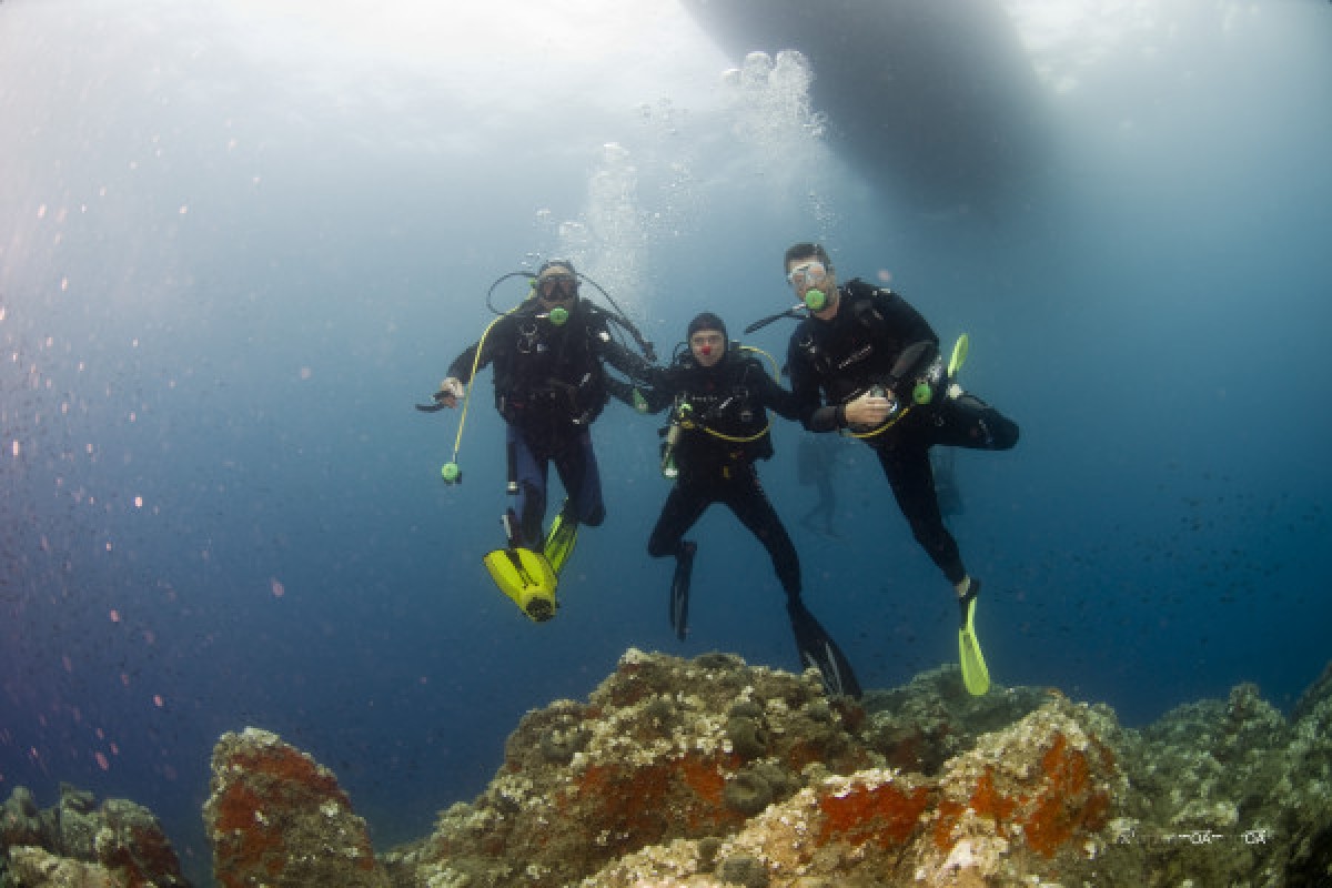 PADI Discover Scuba Diving - Expérience Côte d'Azur