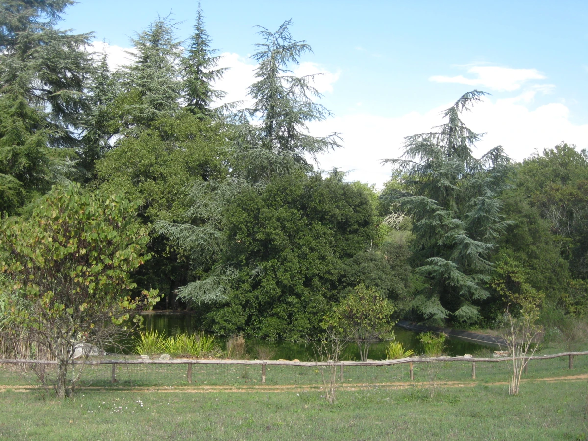 Parc Aoubré en promo – Vivez une aventure nature en famille dans le Var - Expérience Côte d'Azur