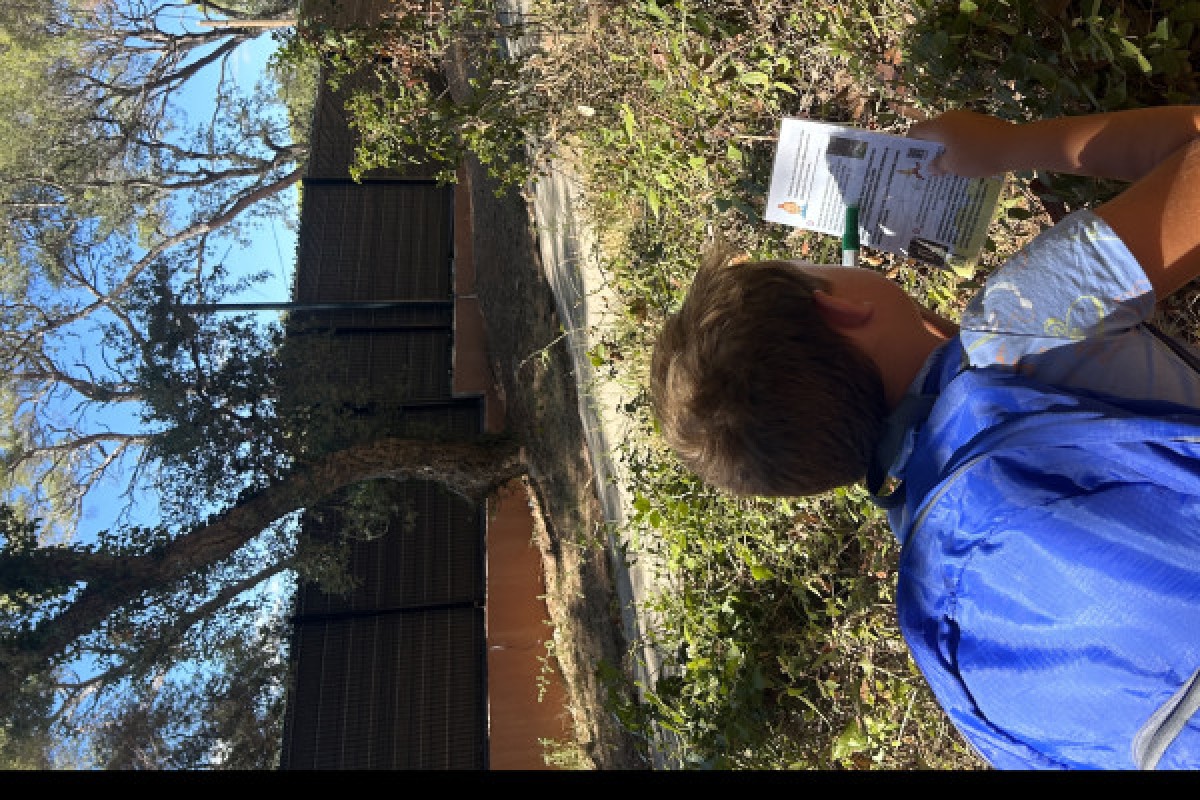 chasse au trésor pleine nature à Saint Raphaël