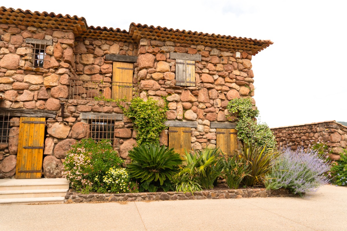 Pause dégustation Cheese & Wine face aux vignes - Spécial EVG/JF - Expérience Côte d'Azur