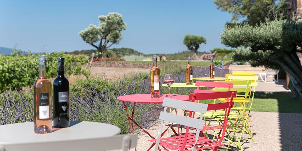 Pause dégustation Cheese & Wine face aux vignes - Spécial EVG/JF - Expérience Côte d'Azur