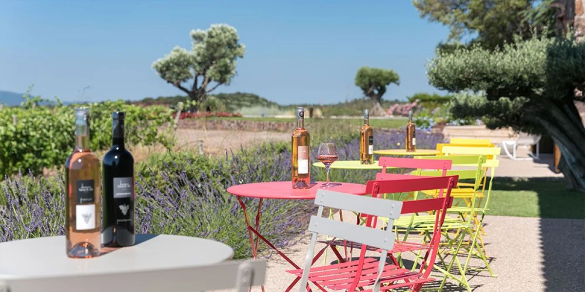 Pause dégustation Cheese & Wine face aux vignes - Spécial EVG/JF - Expérience Côte d'Azur