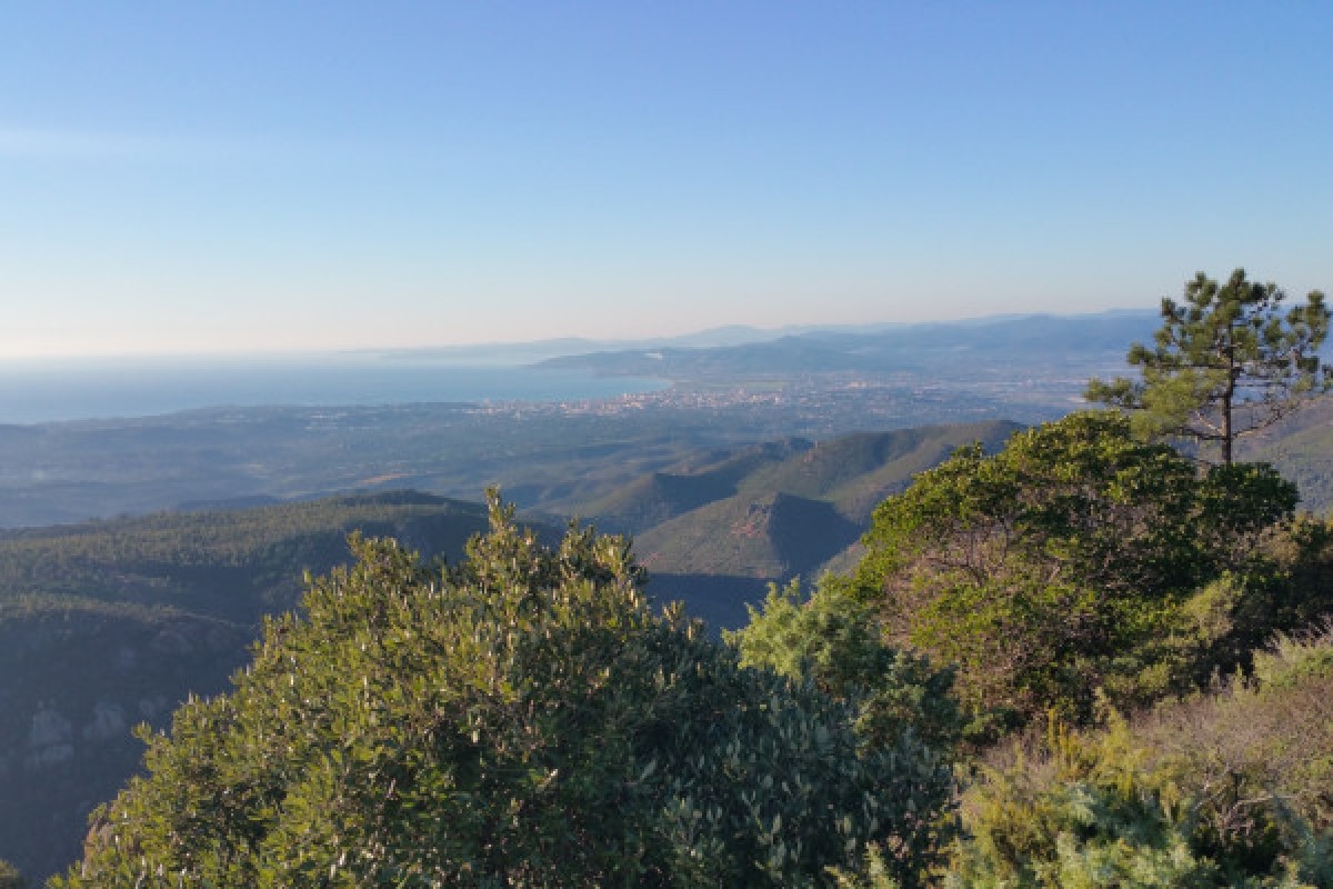 Petit déjeuner au sommet du massif de l'Estérel en VTT électrique - Expérience Côte d'Azur
