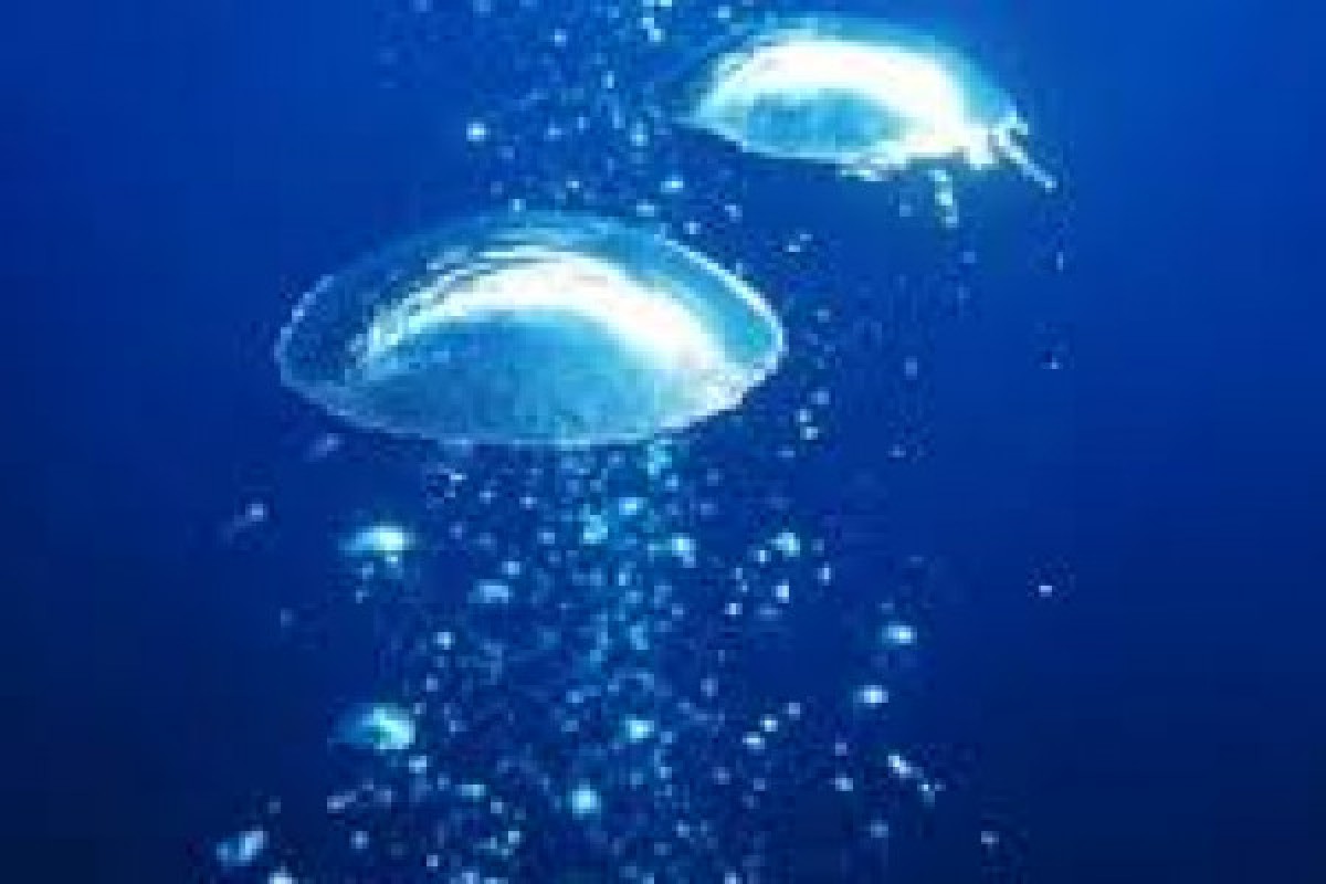 Plongée relaxation et gestion du stress - Fréjus VAR - Expérience Côte d'Azur