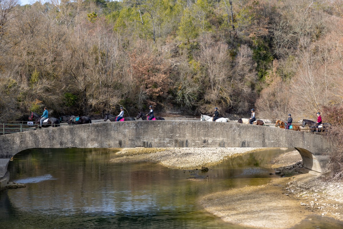 Promenade initiation à poney/cheval avec vue sur le lac - Expérience Côte d'Azur
