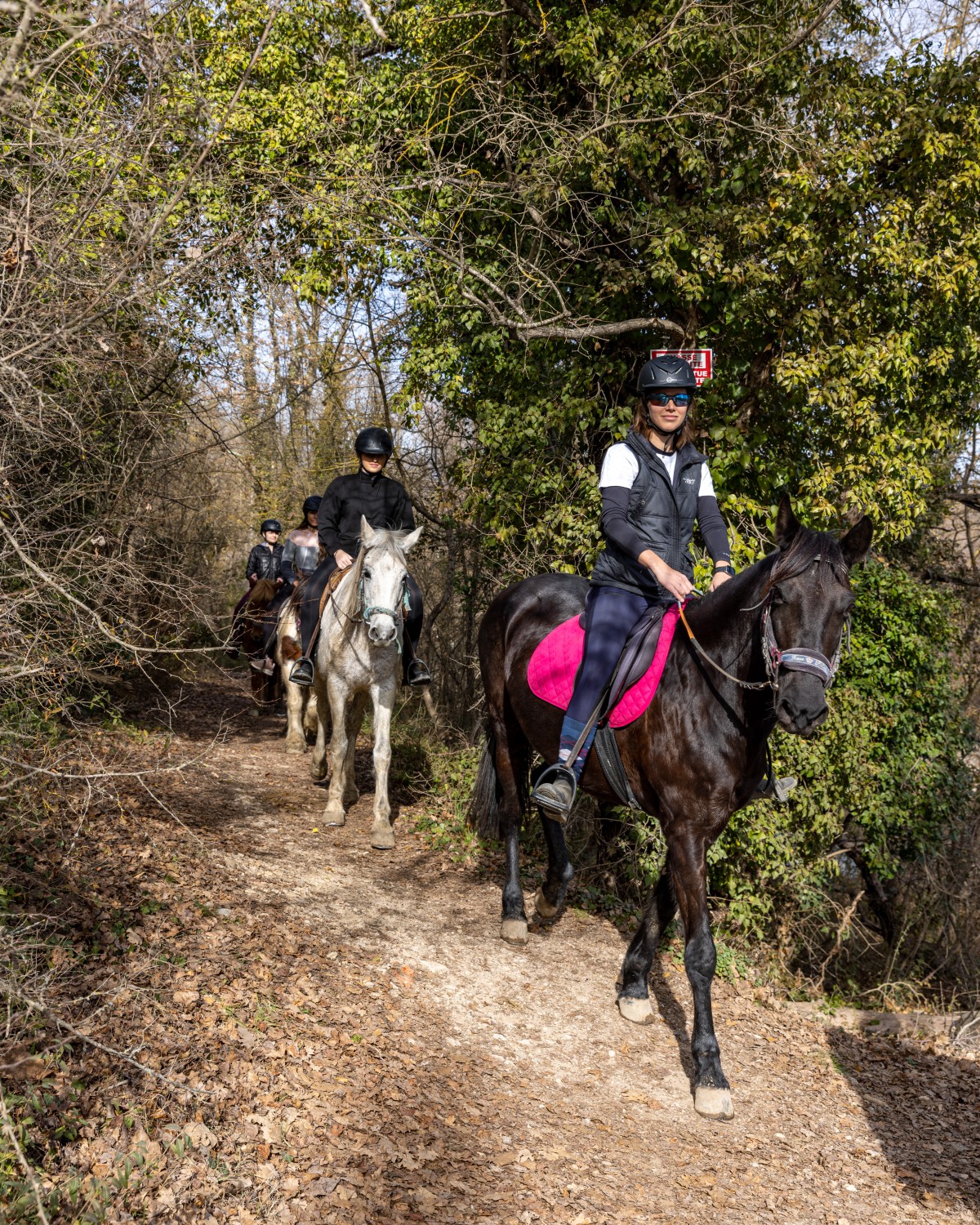 Promenade initiation à poney/cheval avec vue sur le lac - Expérience Côte d'Azur