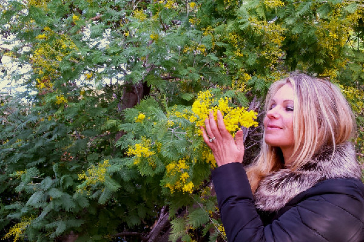 Randonnée au cœur des Mimosas - Route du Mimosa - Expérience Côte d'Azur