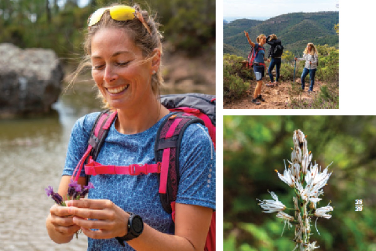 Randonnée découverte et plantes comestibles -Fréjus / Les Adrets de l'Estérel - Expérience Côte d'Azur