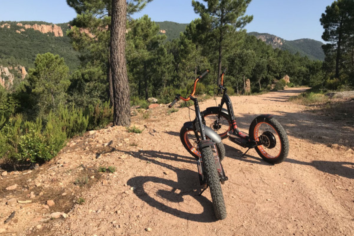 Randonnée en trottinette électrique - Bagnols en Forêt - Expérience Côte d'Azur