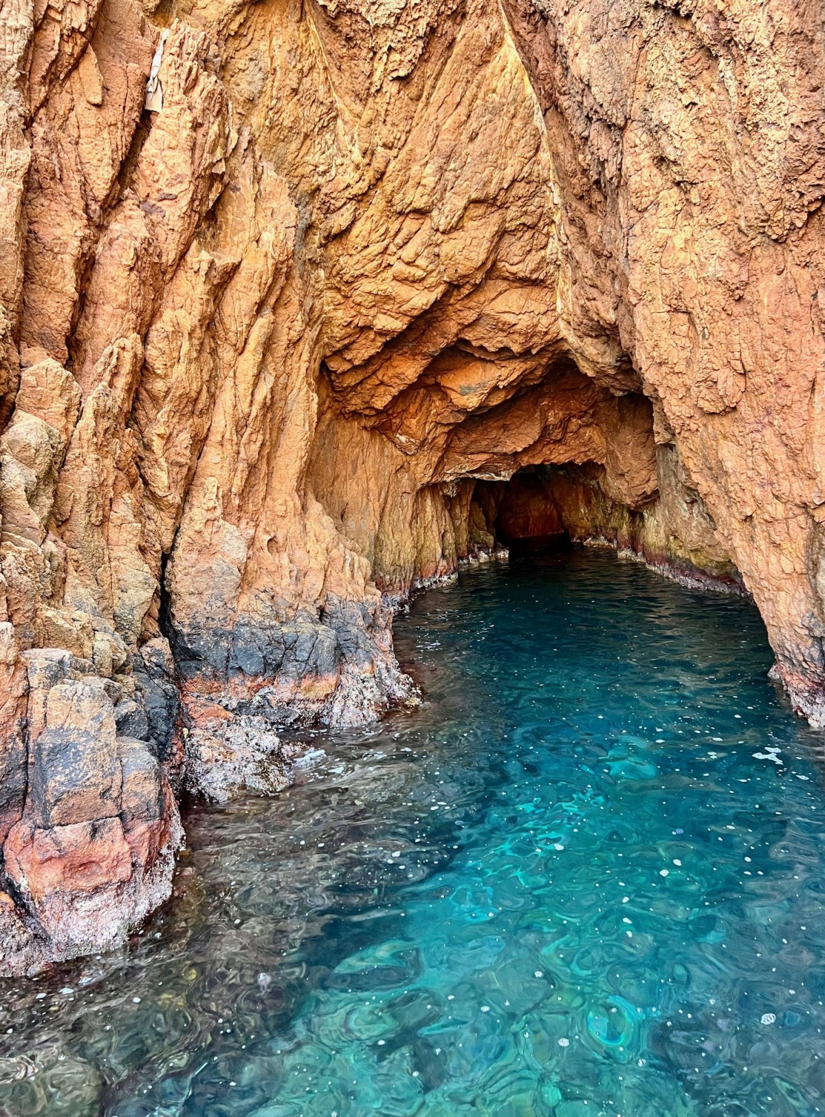 Randonnée JET-SKI 2h "Au cœur de l'Estérel" - PROMO - Expérience Côte d'Azur
