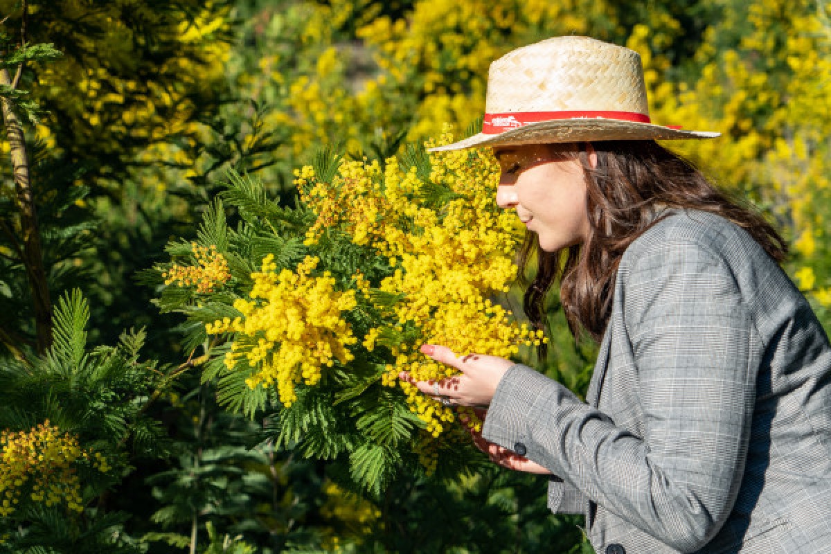 Randonnée Mimosa - Expérience Côte d'Azur