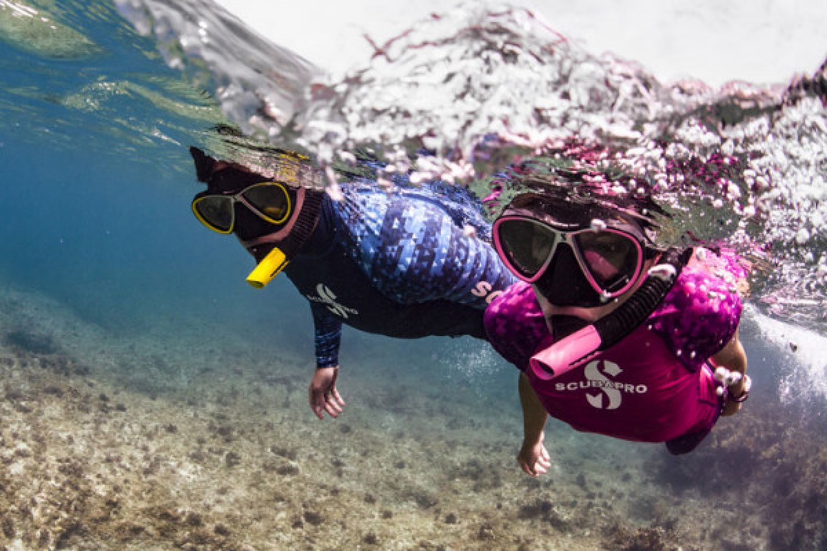 Randonnée palmée à Fréjus - Expérience Côte d'Azur