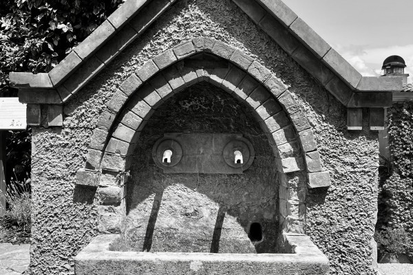 Randonnée en VTT électrique - "Au coeur du vignoble" - Expérience Côte d'Azur