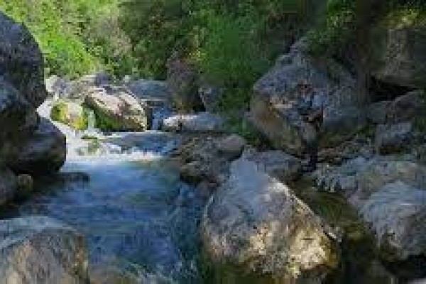 Randonnée en VTTAE - "Merveilles de l'arrière pays" - Expérience Côte d'Azur