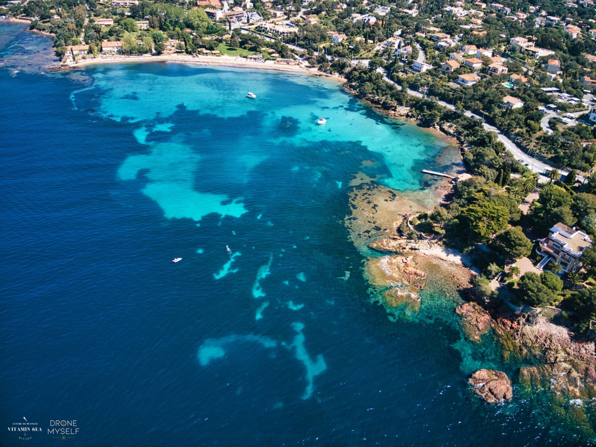 Randonnée palmée à l'Ile d'Or et balade en bateau - Expérience Côte d'Azur
