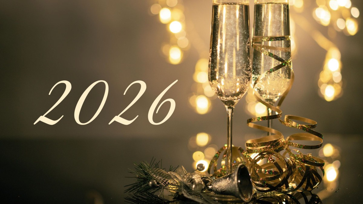 Séjour Nouvel an dansant sur la marina : Ambiance Bollywood - Saint-Raphaël - Expérience Côte d'Azur