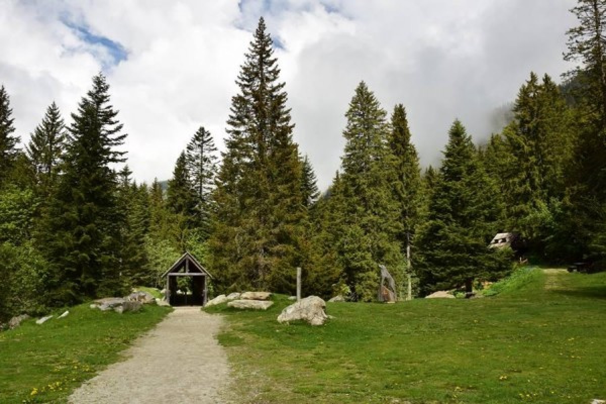 Soigneur d'1 jour - Réservation Hiver  - Expérience Côte d'Azur