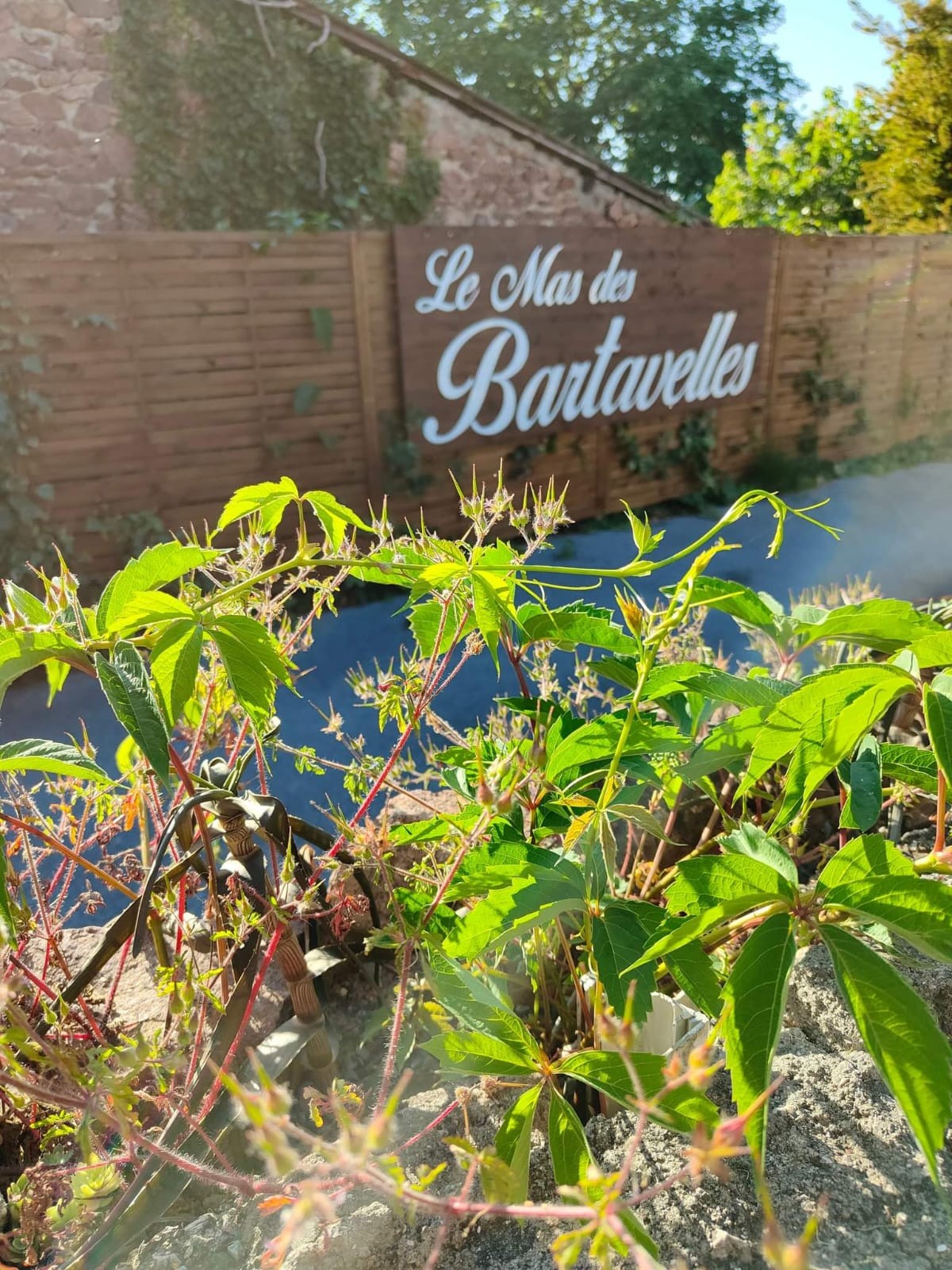 Soirée animée du nouvel An ambiance Western au Mas des Bartavelles - Fréjus - Expérience Côte d'Azur