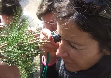 Sortie scolaire nature : Allons herboriser ! - Expérience Côte d'Azur